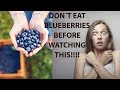 Why you should eat Blueberries TODAY?