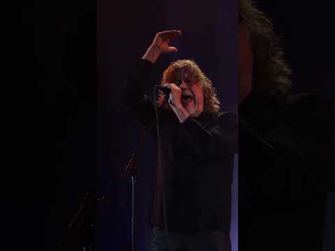 Robert Plant 2026 #ledzeppelin #robertplant #2026
