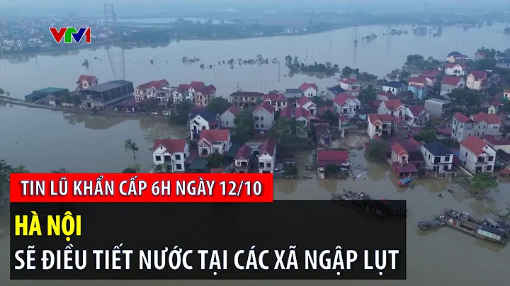 Tin lũ khẩn cấp 6h ngày 12/10: Hà Nội sẽ điều tiết nước tại các xã ngập lụt | VTVWDB