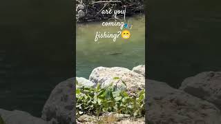 🎣🐟 Vieni a pescare con me?☺️ #22aprile #shorts