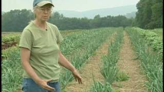 Sustainable Tillage - Beech Grove Farm, Trout Run, PA