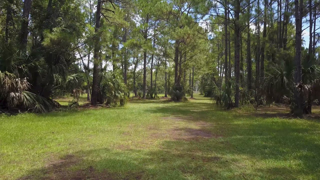 Debary Disc Golf Course / River City Nature Park Alpha Hole 13 YouTube