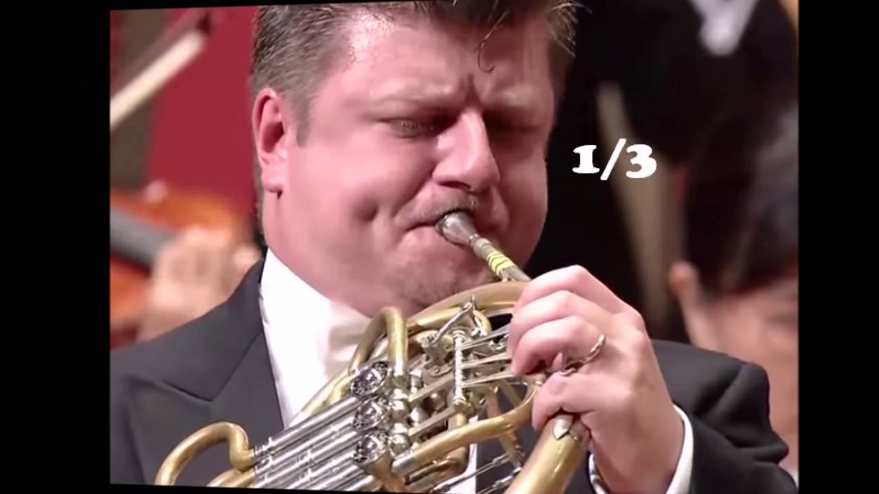 ホルン 最重要ポイントの一つ French Horn One Of The Most Important Point Youtube