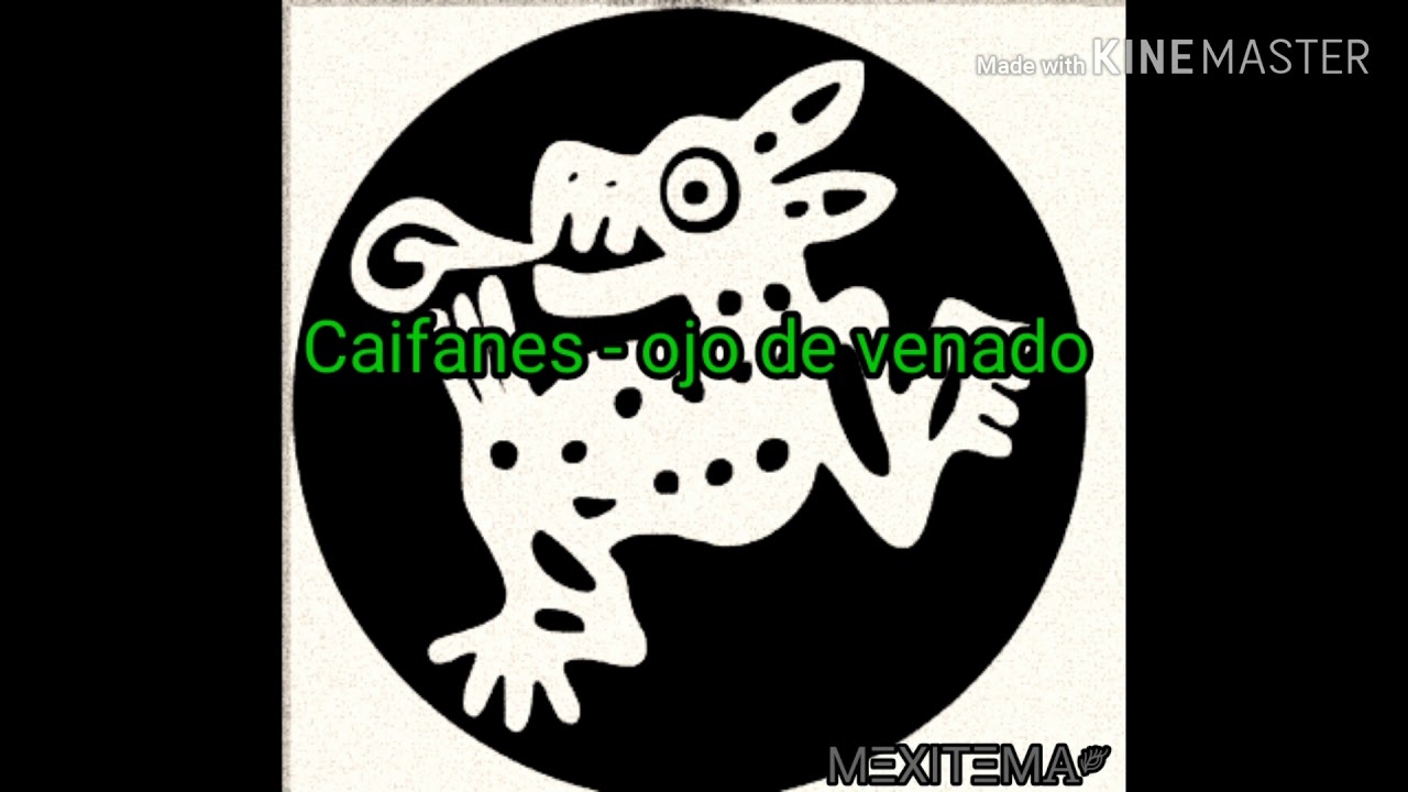 Caifanes- perdí mi ojo de venado (letra) - YouTube