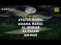 AYATUL KURSI AMANA RASUL BAQARAH 285 286 IKHLAS FALAQ NAS Quran For Sleep Marvelous Dua AYATUL KURSI AMANA RASUL BAQARAH 285 286 IKHLAS FALAQ NAS Quran For Sleep Marvelous Dua