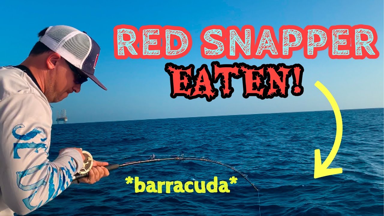 DEEP SEA Fishing South Padre Island Texas RED SNAPPER Osprey Cruise POBSE