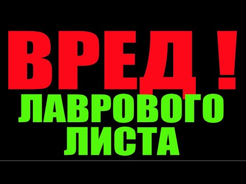 ВРЕД ЛАВРОВОГО ЛИСТА