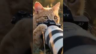 A day in the life of a wildlife photographer