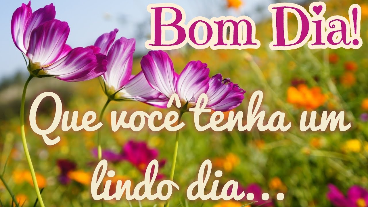 Mensagem Linda de Bom Dia - YouTube