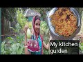 My small kitchen gurden // The Beauty in Odisha //rashmirekha