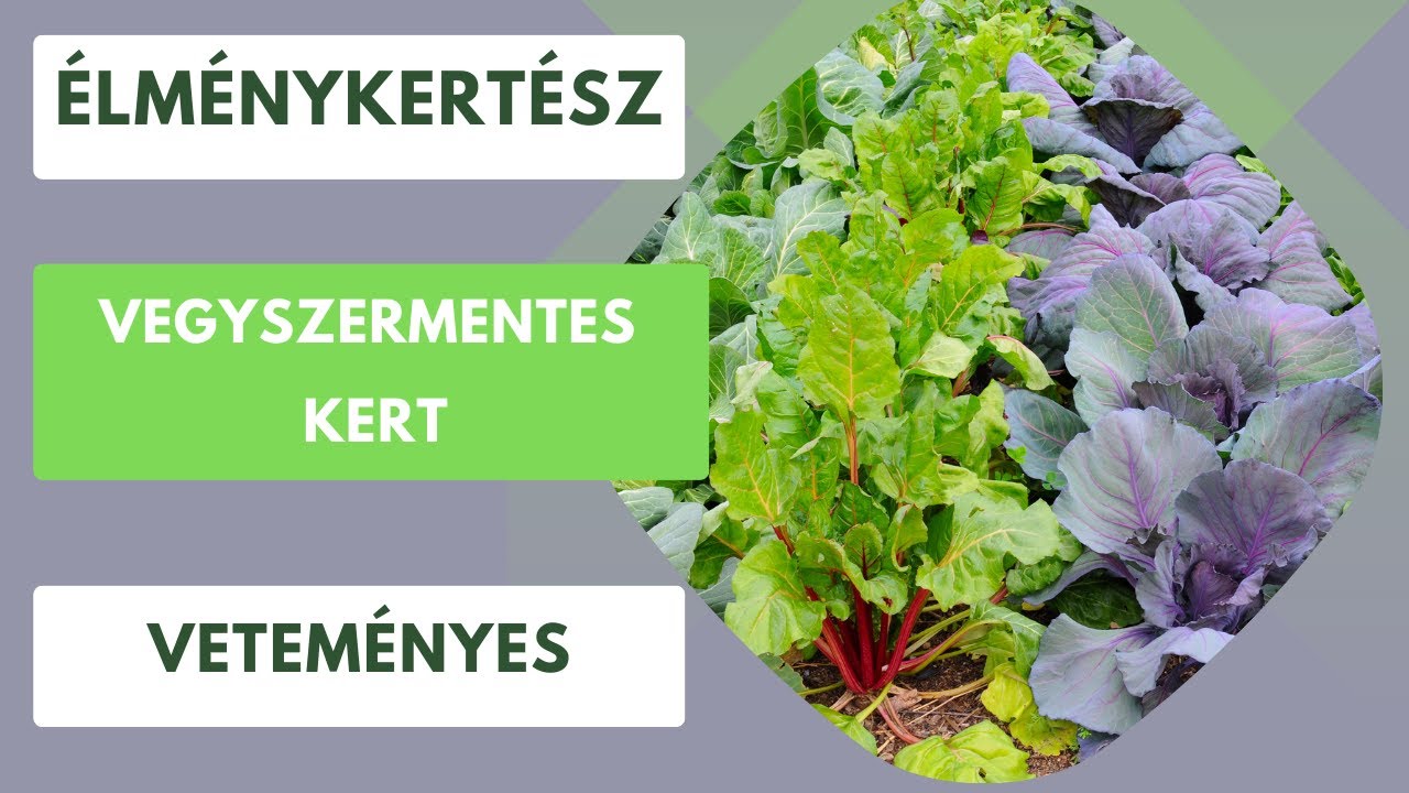 Vegyszermentes kert🍅🥔🥒🫑