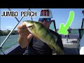 How to Catch Perch in Summer! (Tips-Tricks)