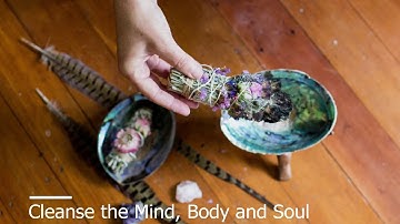 New Zealand Abalone Shell and Stand