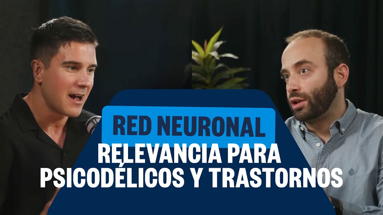 La red neuronal por defecto (DMN) y su relevancia para psicodélicos y trastornos - Dr. Borja Bandera