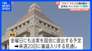 “骨抜き”年金法案を週内にも提出へ　“基礎年金”の底上げを削除｜TBS NEWS DIG