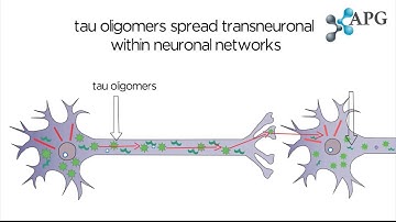 Tau Propagation in Alzheimer