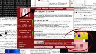 Windows 11 antivirus TEST vs 100 ransomware