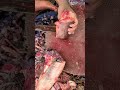 Perfect Pangus Filleting - Smooth Cutting skills #shorts