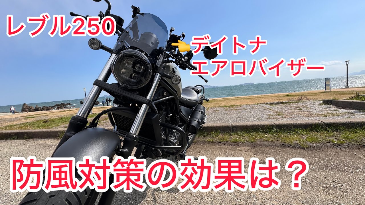 デイトナ 97018 バイク用 ウインドシールド スモーク レブル1100