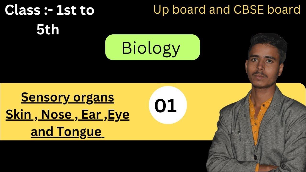 sensory organ sensory organ are five Ear ,Nose , skin , Eye and tongue sensory organ in