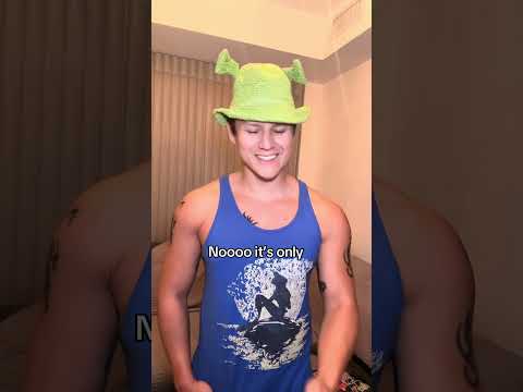 I Cannot BELIEVE This Masterpiece Is 20 Years Old Shrek2 Shrek