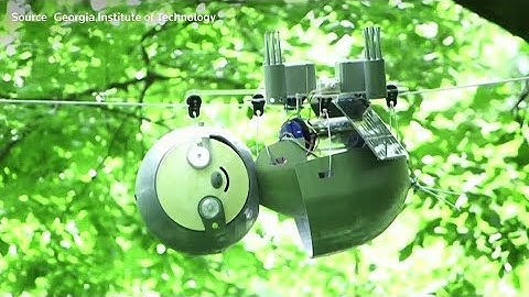 SlothBot - a robotic sloth to monitor endangered species