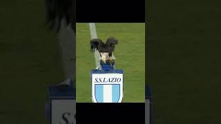 Animals Moments in Football 😍