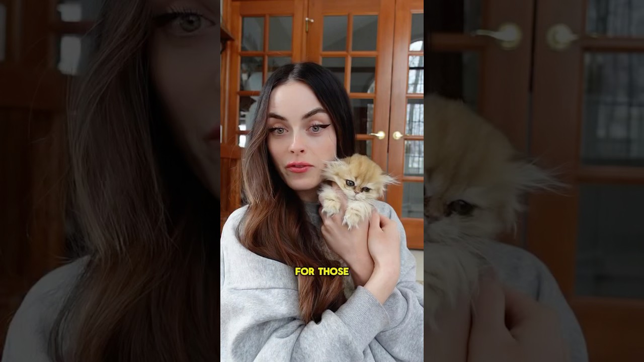 Прекрасные глаза Миры просто загляденье☺️ 