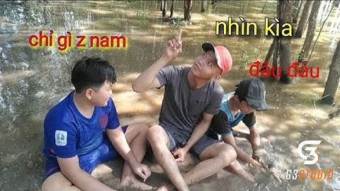 đi bắt ốc mùa nước nổi trên ruộn lúa #hoangnamvlogs