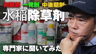 初期剤？ 一発剤？ 中後期剤？ 水稲除草剤のキホンについてスペシャリストに聞いてみた