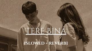 Tera Bina [Slowed + Reverb] | Hindi Lofi