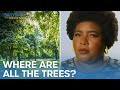 Dul-Sayin’ - Why Low-Income Neighborhoods Have Fewer Trees | The Daily Show