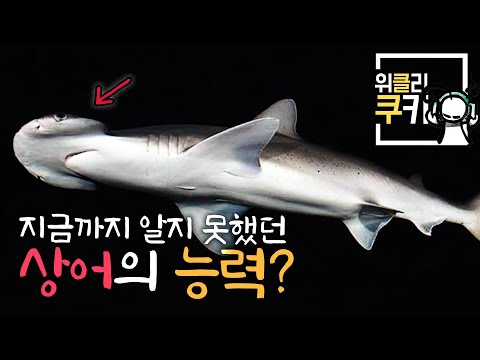 | <strong>위클리쿠키</strong> EP05 Part 2