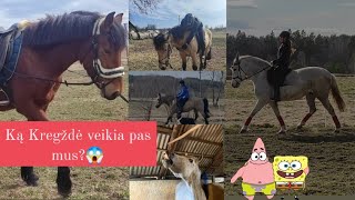 Velykos su Gabija😍+ jojame be balno💖+ vėl jojame Kregždę🌷