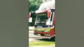 Strobo mata #shortvideo #shorts #bus