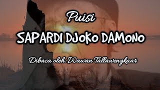 Kumpulan Puisi Sapardi Djoko Damono yang Paling Menyentuh hati