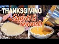 🦃Thanksgiving Prep | 🥧Homemade Pie Crust | Cranberries Everywhere | Full Length Episode