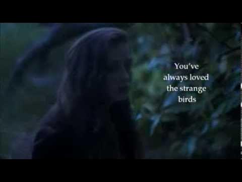 Birdy strange birds. Берди певица странная птица. Birdy Strange Birds текст. Birdy перевод.