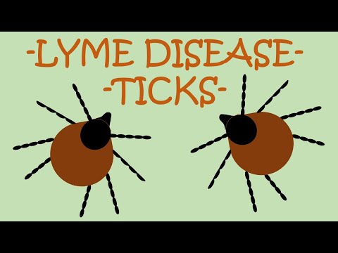 Videó: A HUMTICK Tanulmány: A Kezelés Utáni Lyme-kór Szindróma, Valamint A Lyme-borreliosis Betegségének és Költségterheinek Prospektív Kohorsz-kutatási Protokollja Belgiumban