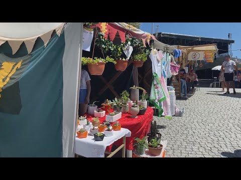 Mostra Comunitária anima freguesia da Portela este fim de semana