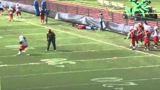 13 Speed Ladder Drills For Faster Footwork & Quickness