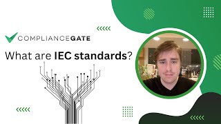 What are IEC standards?