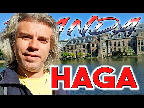 Video: Excursie de o zi la Haarlem, capitala Olandei de Nord