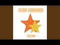 Echo Chamber 
