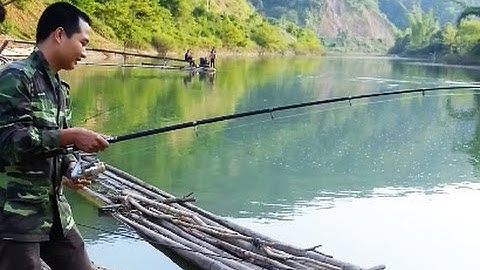 Câu cá sông Gâm, cá nheo - nguồn Trung Nguyen