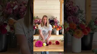 Different Dahlia Varieties & Why we grow them