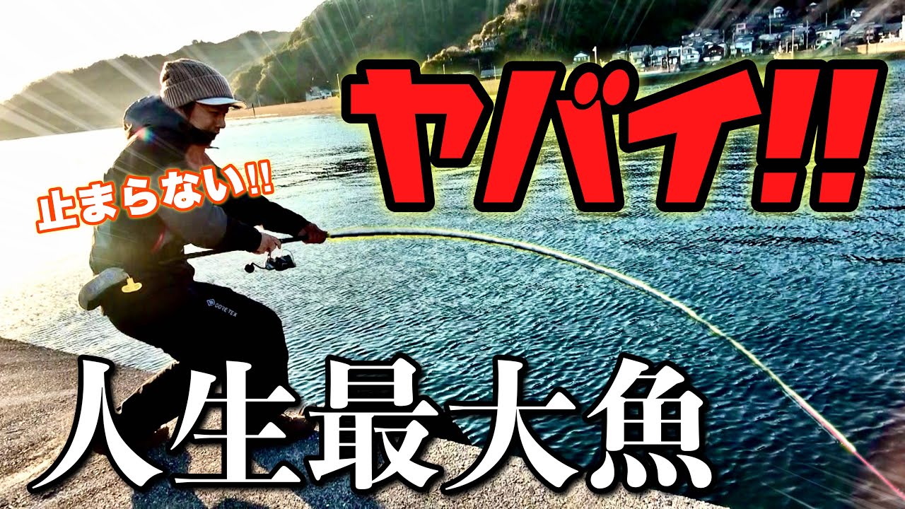 【神回】ごく普通の堤防であり得ない大物！釣り人生40年の最大魚を釣ってしまった‼️