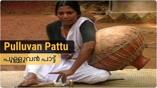 Pulluvan Pattu | പുള്ളുവൻ പാട്ട് | Art forms Kerala