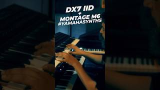 Nesse vídeo, usei exclusivamente o Montage M6, o DX7 e uma Circuit Track.
