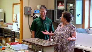 Dairyland Labs - Testing